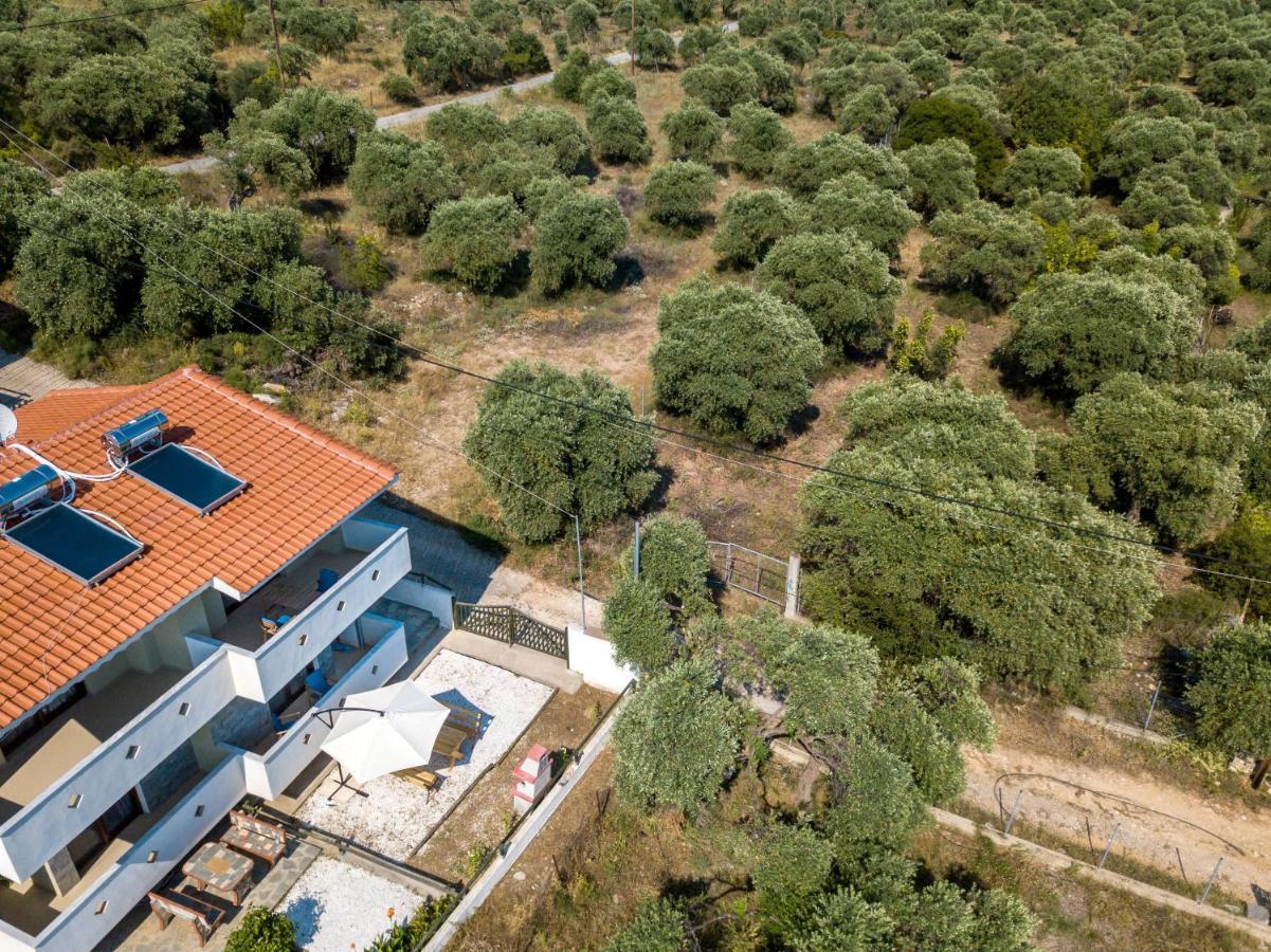 Olive Maison Astris Extérieur photo
